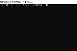 抖音直播录制辅助工具
