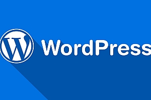 一些开源的wordpress主题