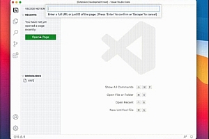使用vscode浏览notion页面