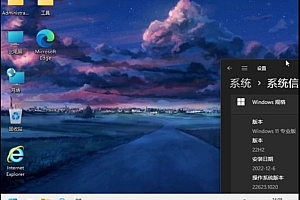 WIN11专业精简版 x64 ESD by溯汐潮