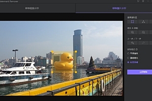 HitPaw Watermark Remover 图片去水印