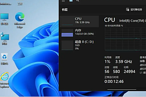精简 Windows 11 专业 x64 22H2