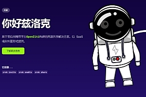 zrok-去中心化点对点共享