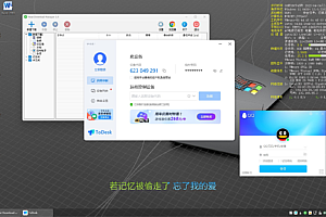 Win11X64 雷电PE