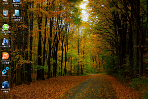 PE系统Win10PEx64网络版 & 维护版