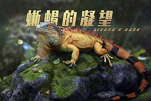 影视动物角色《蜥蜴的凝望》全流程
